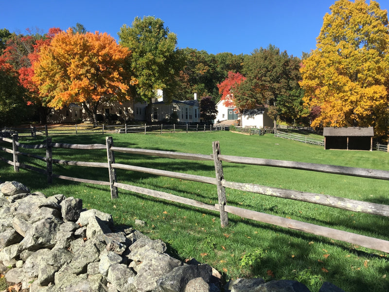 Fall on the Farm