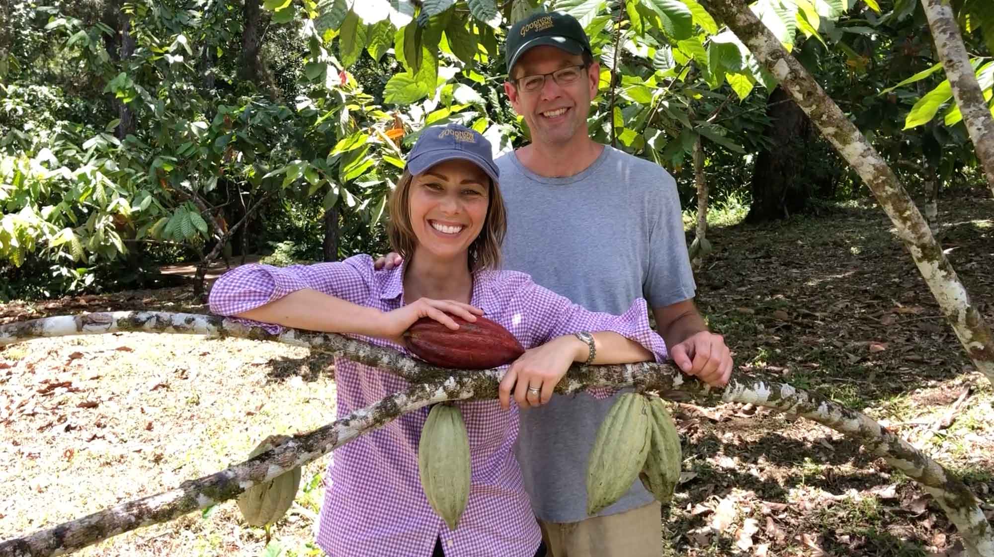 Opening a Cacao Pod
