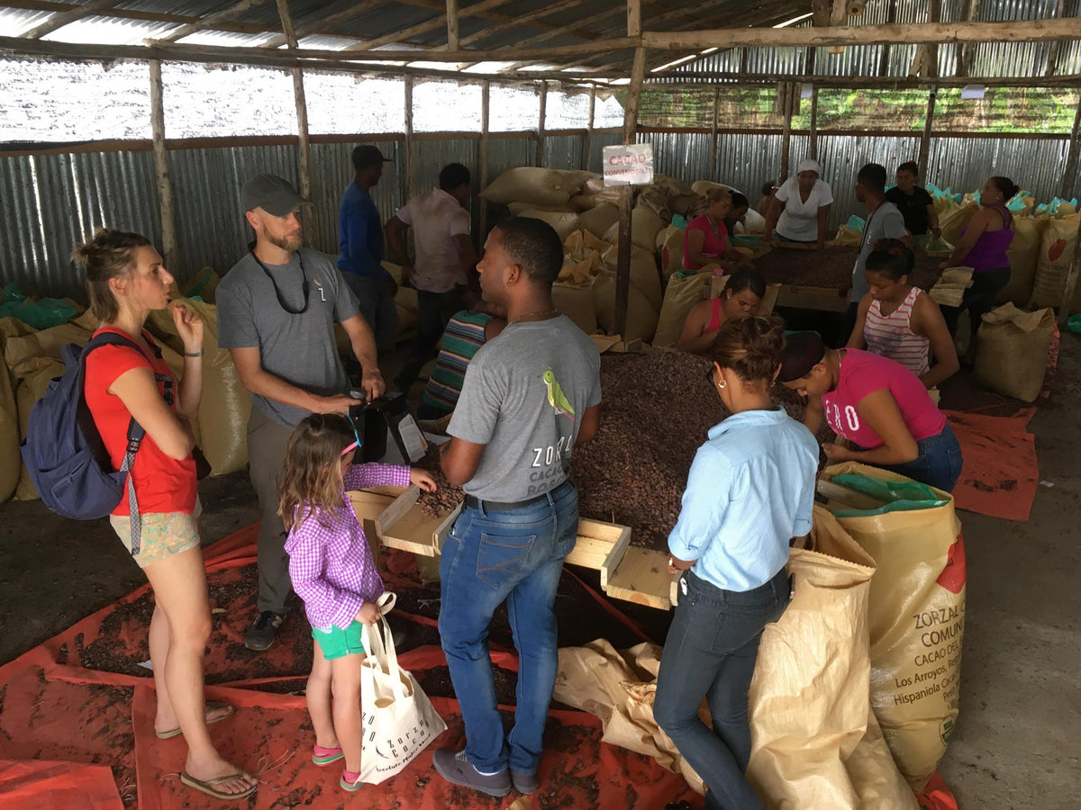 All of the beans are carefully sorted by hand before being put into sacks for shipment.