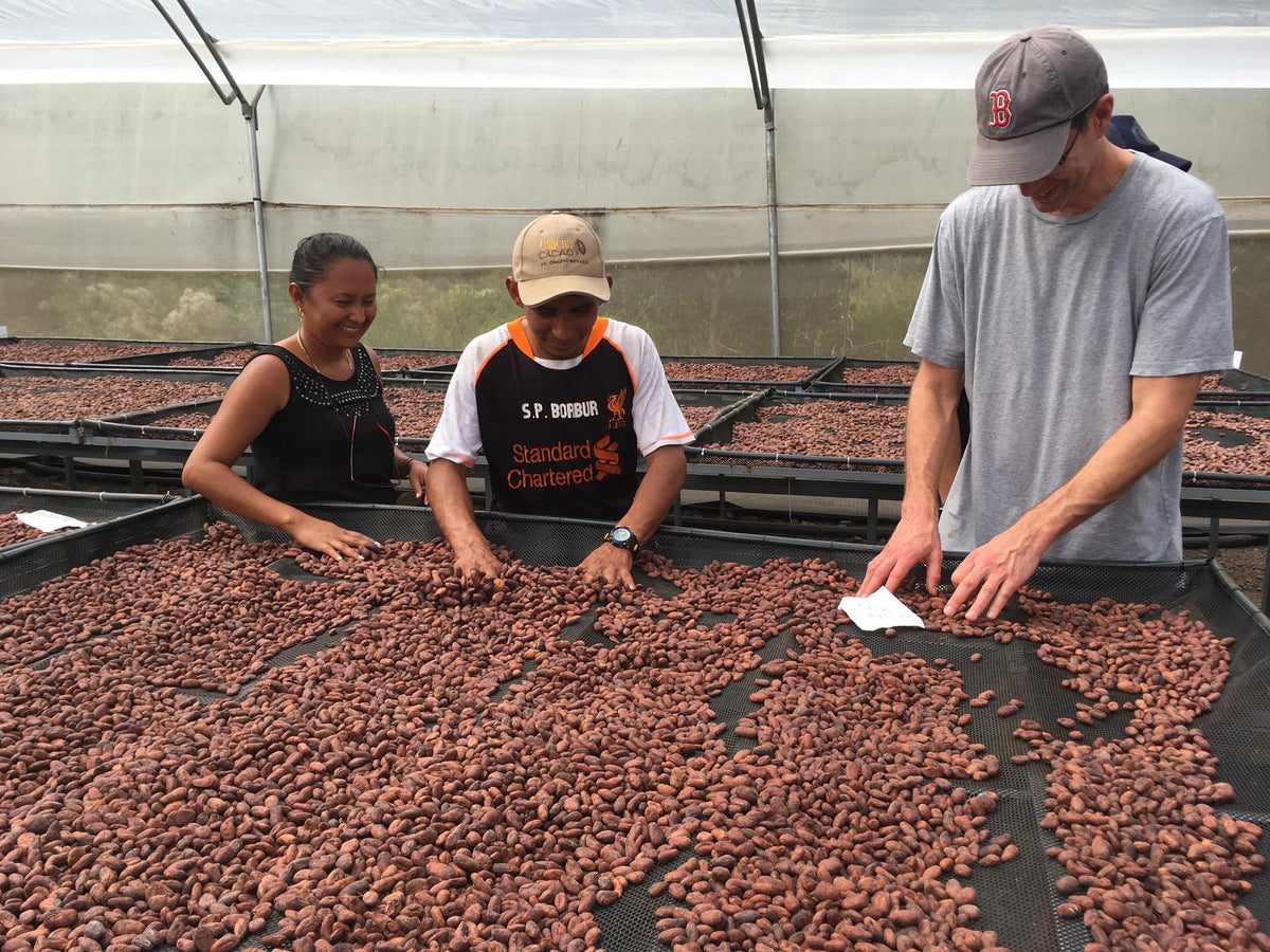 Checking the flavor of the beans as they dry.