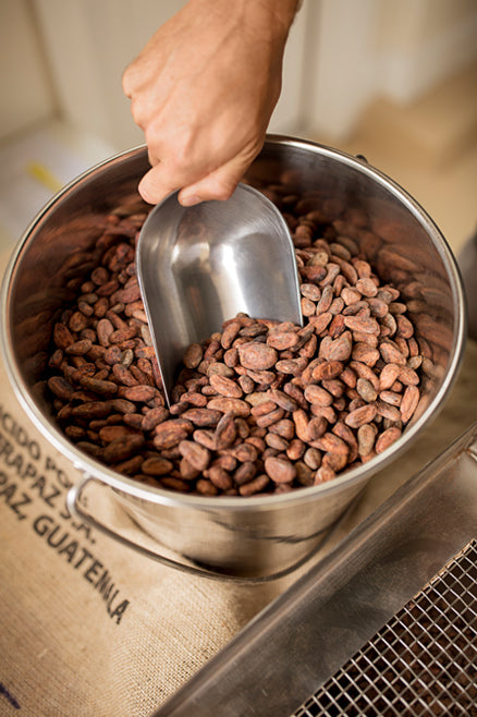 Hot Cocoa Tasting Collection